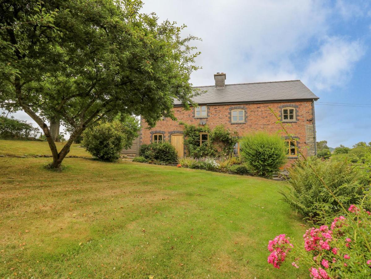 Llanwrthwl Byrdir Cottage מראה חיצוני תמונה