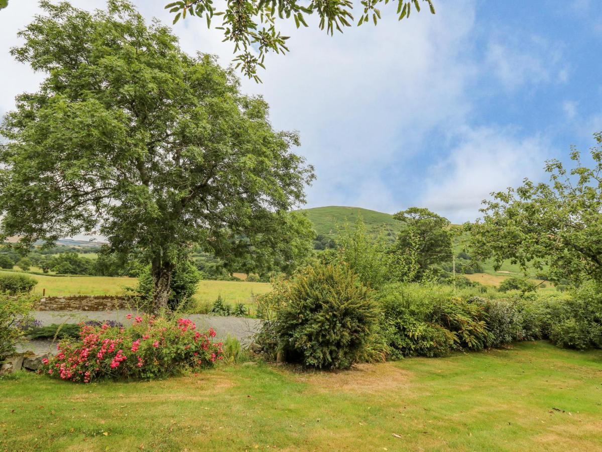 Llanwrthwl Byrdir Cottage מראה חיצוני תמונה