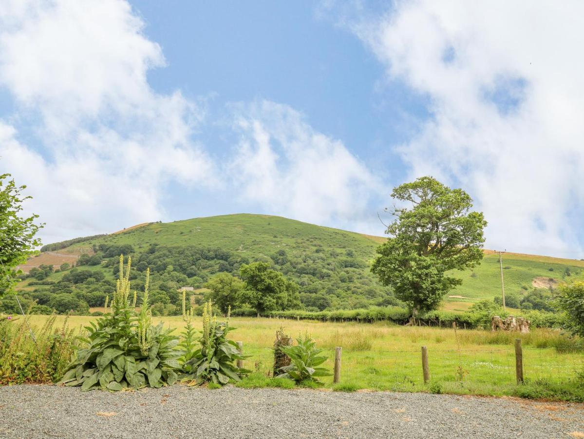 Llanwrthwl Byrdir Cottage מראה חיצוני תמונה